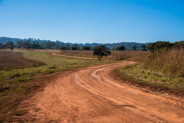 Dirt Driveway Repair in Crestview