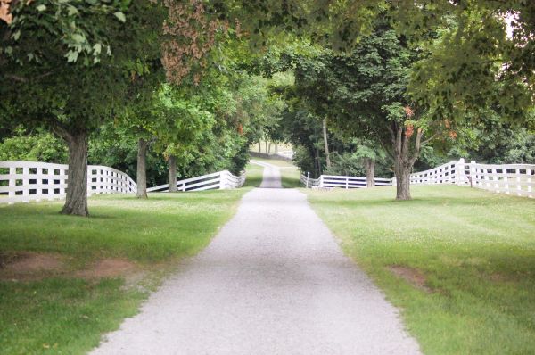 Cost of Gravel Road Installation in Crestview