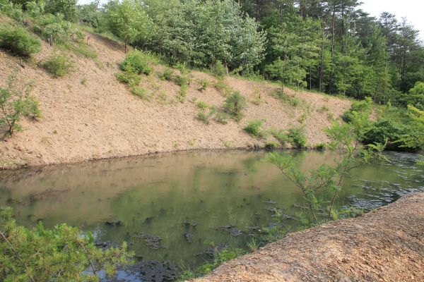 Cost of Pond Erosion Repair in Crestview