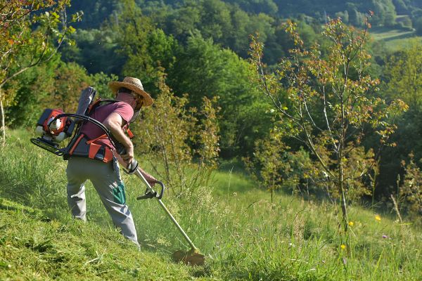 Cost of Slope Trimming in Crestview
